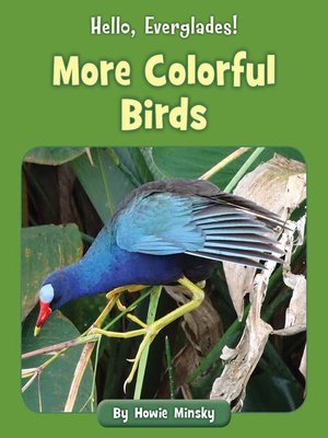 cover image of More Colorful Birds